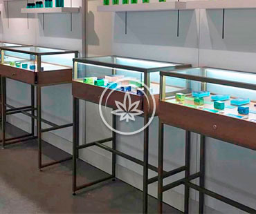 Marijuana Pedestal Display Cases