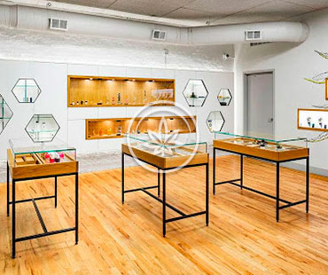 Marijuana Pedestal Display Cases