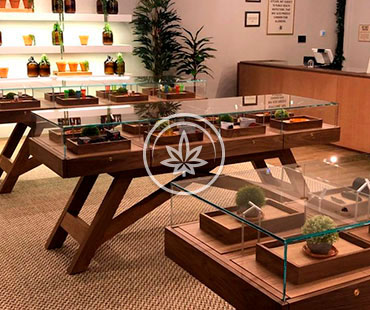 Marijuana Pedestal Display Cases