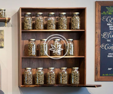 Marijuana Wall Mounted Display Cases